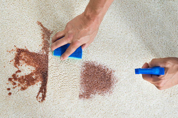 Super Easy Tips to Remove Stains from Your Carpets